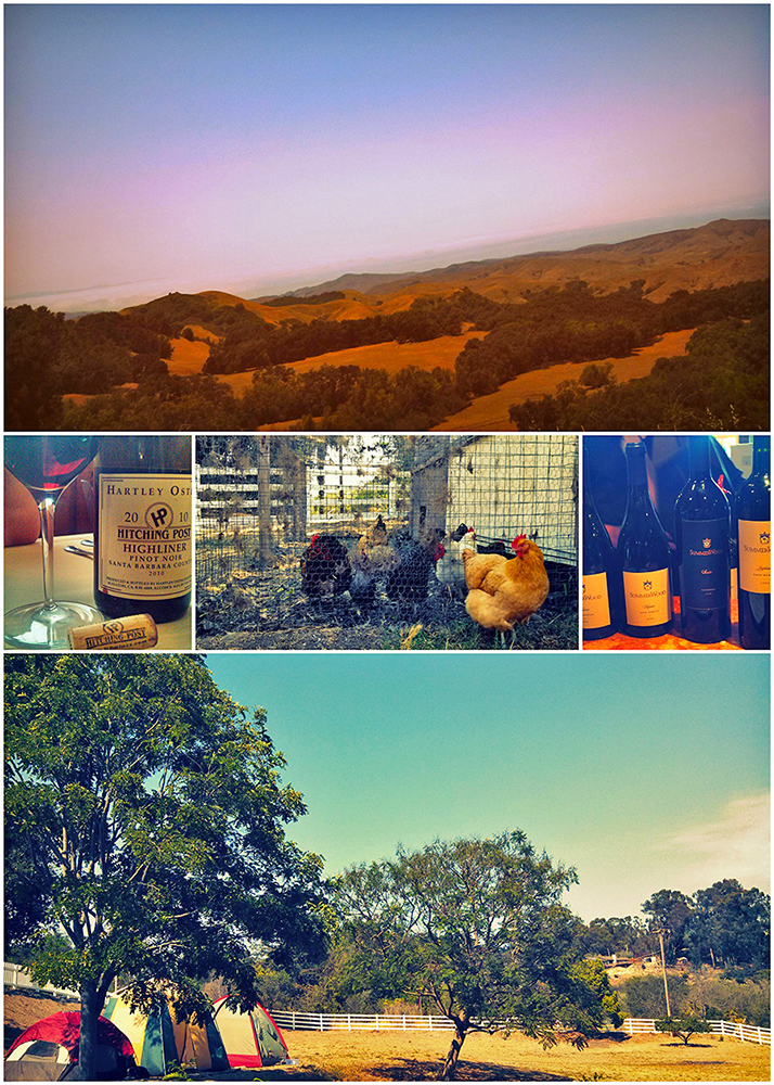 Wine-and-Chickens-central-coast