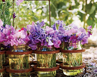 Growing Sweet Peas: Summer Blooms, Seeds for Spring, and Stories