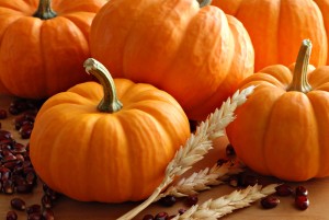 Host Your Own DIY Pumpkin Patch / Carving Party!