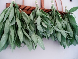 Sage Smudging Confessions & How to Grow Your Own