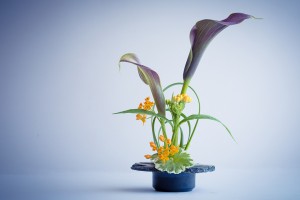 Ikebana Grow Blog